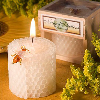 Children's Birthday Party Supp - Soy Wax recension och pris