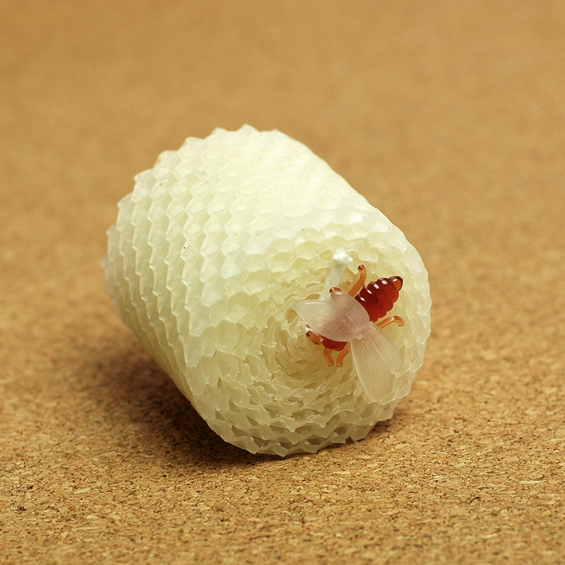 Children's Birthday Party Supp - Soy Wax recension och pris